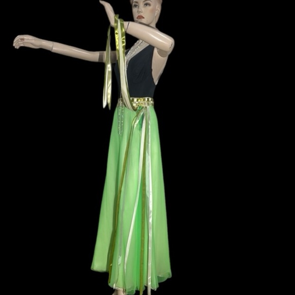 Vintage Lilli Green Chiffon Maxi Skirt - Picture 9 of 17